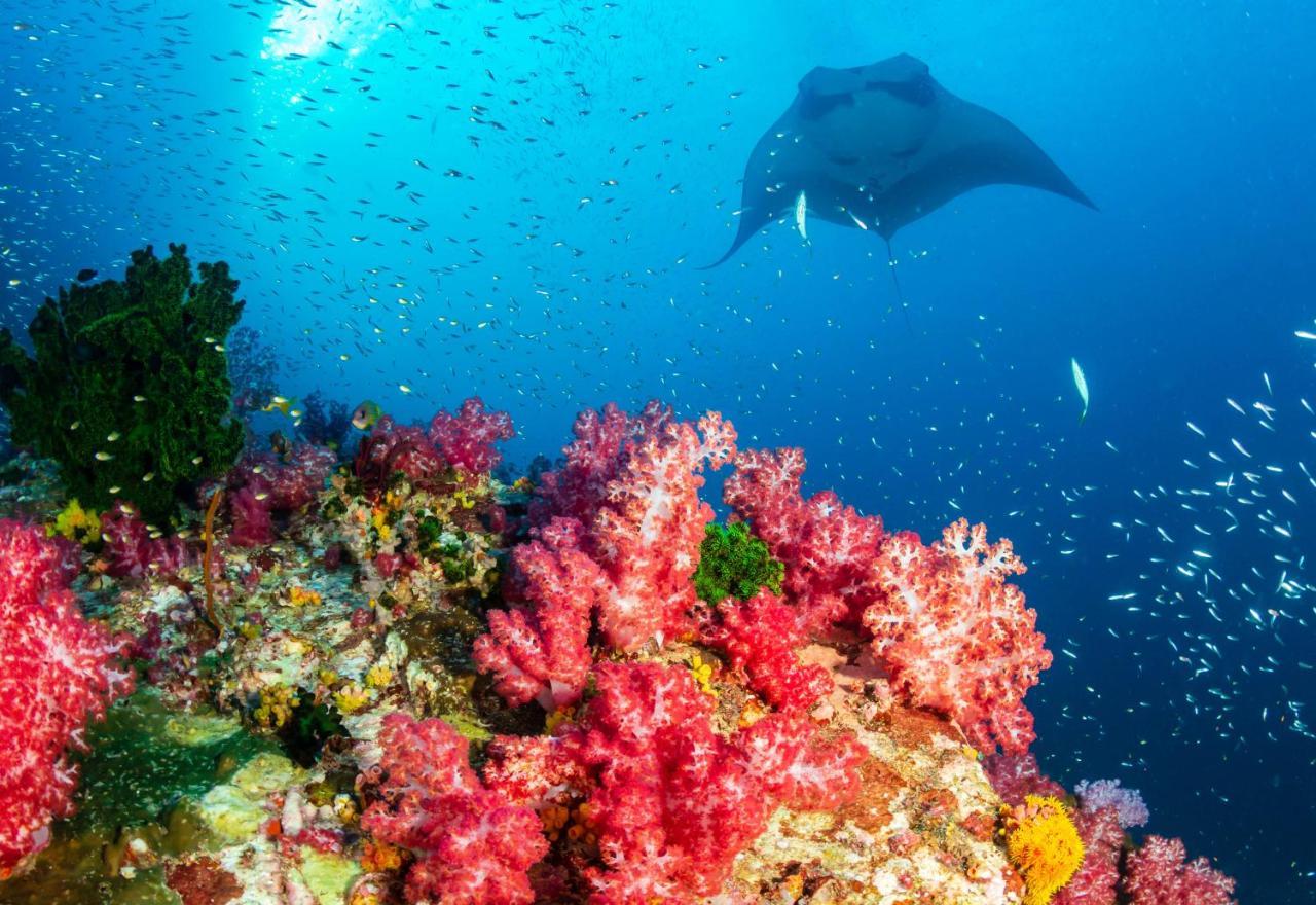 Ayana Komodo Waecicu Beach Hotel Labuan Bajo Eksteriør billede